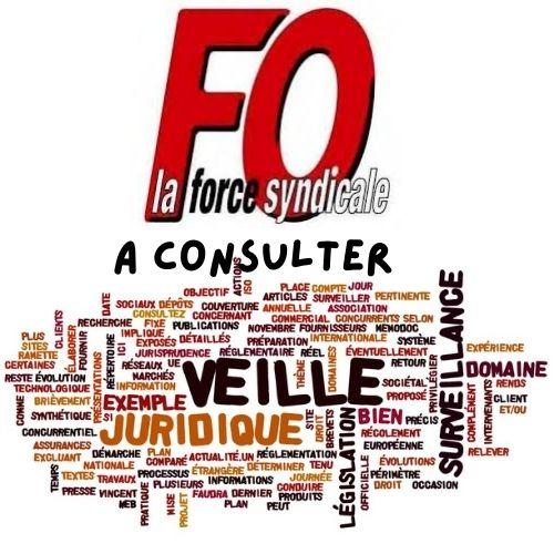 Veille juridique a consulter logo 1