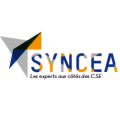 6 Syncea