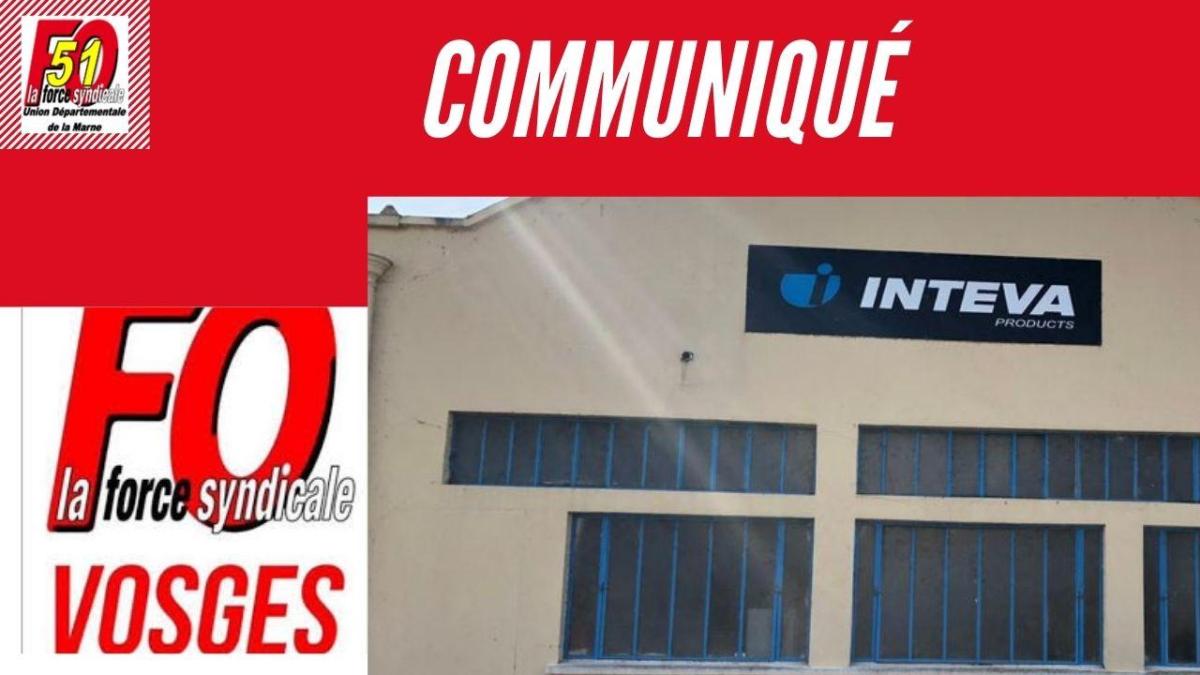 L’Union des Syndicats Cgt-FO de la Marne apporte tout son fraternel soutien aux camarades de l’Union Départementale FO des Vosges et plus particulièrement aux salariés et camarades de l’établissement INTEVA, sacrifiés sur l’hôtel d’une mondialisation ou l