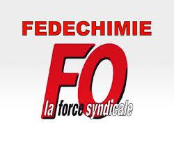 grève fédé fo chimie 9 janvier