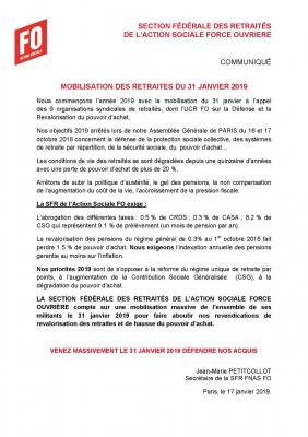 Section federale des retraites et futurs retraites mobilisation du 31 janvier 2019 pdf